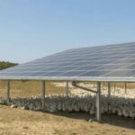 ombriere photovoltaique avicole pour la volaille