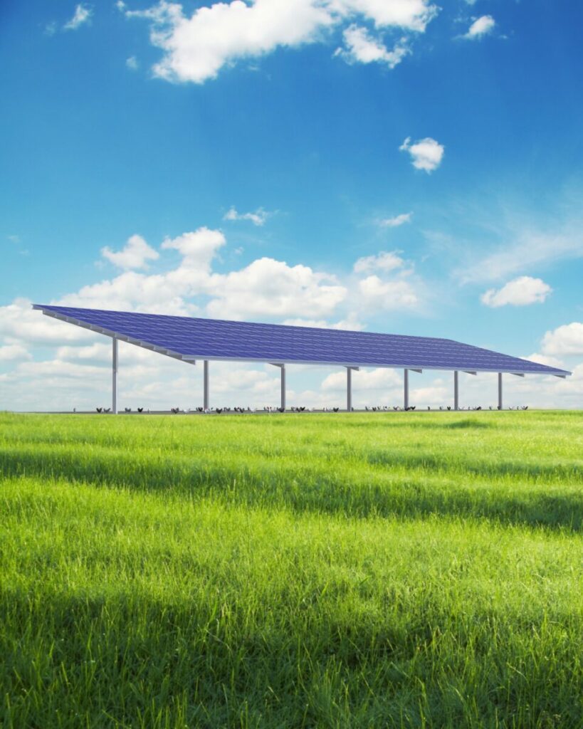 volière photovoltaïque